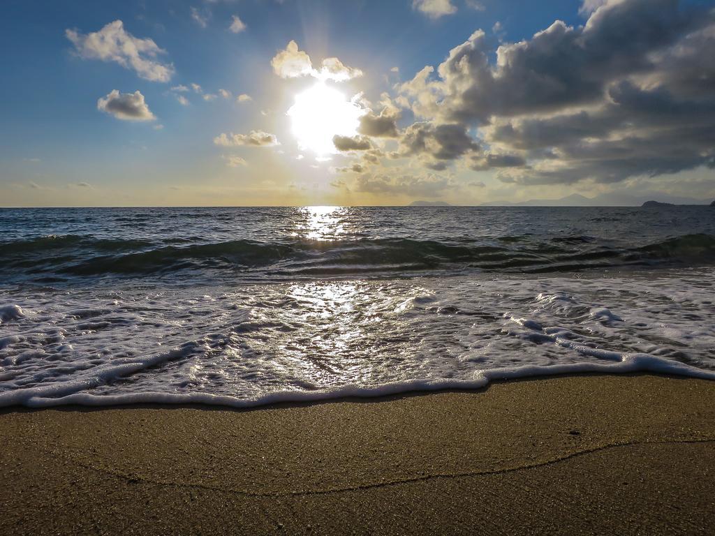 Cairns Beaches Flashpackers Palm Cove Dış mekan fotoğraf